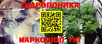 ПСИЛОЦИБИНОВЫЕ ГРИБЫ Краснодар