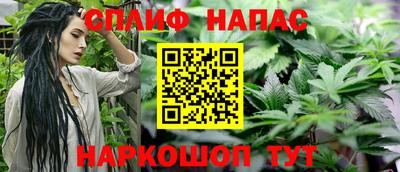 ПСИЛОЦИБИНОВЫЕ ГРИБЫ Краснодар