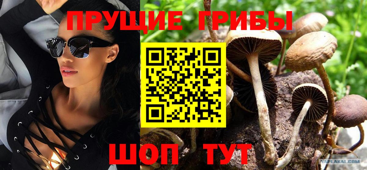Галлюциногенные грибы ЛСД Биробиджан