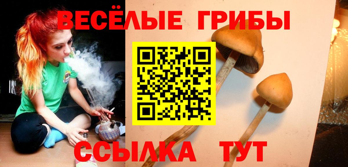 Псилоцибиновые грибы ЛСД  Вход с VPN  Биробиджан  Псилоцибиновые грибы GOLDEN TEACHER 
